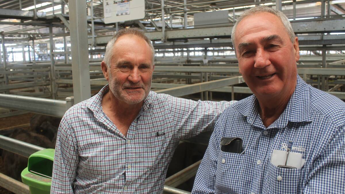 Border interest: Peter Richards, Oxley and Peter Dargan, Rodwells Wangaratta, purchased Angus steers at Barnawartha with the hope of a possible autumn break.