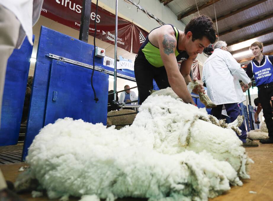 Australian Sheep & Wool Show shearing events have a full card of participants with more than 80 shearers and 35 wool handlers entered across the two days.