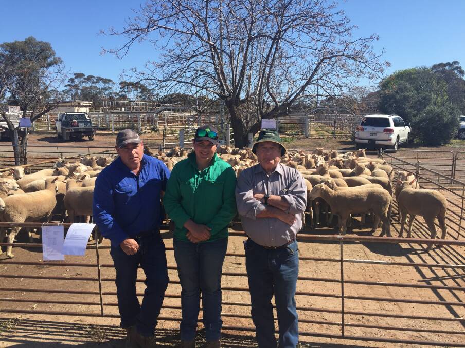 BUYERS: First-cross ewes fetched $375 at West Wyalong, NSW, with the second top price secured by Matt, Tom and Kevin O'Dwyer, Ariah Park, NSW, with a pen of 125 ewes to $360.