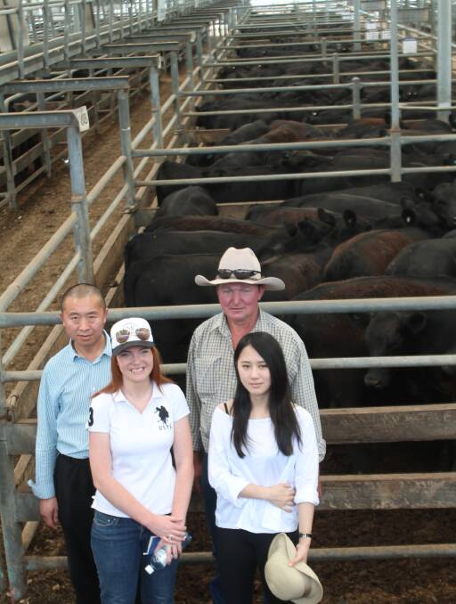 Buy-up: Fucheng Group's Goaqi Li, Cassie White, agent Tim Grenda and Eva Xia purchased 715 head of Angus heifers for a recently purchased Queensland property. 