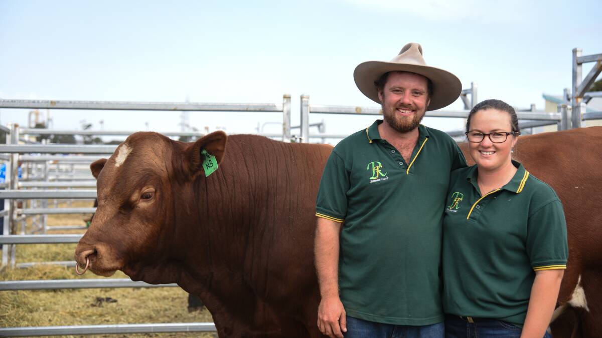 Chris Muller and Teisha Koop, Rellum Farms, will offer Simmental bulls direct to visitors at the Mount Gambier, SA, open day.