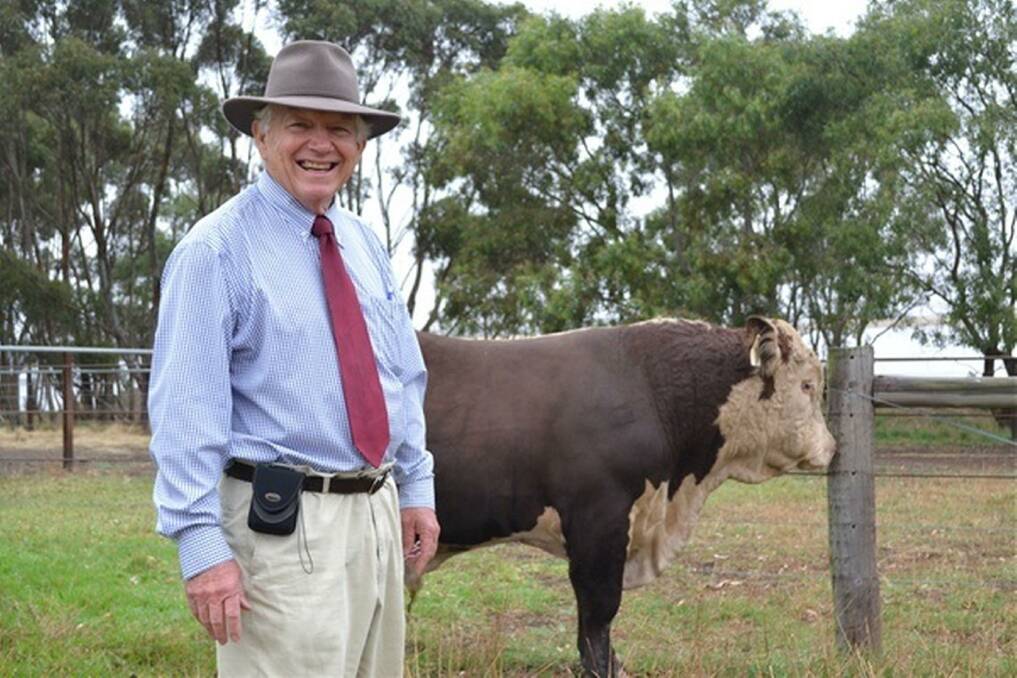Open day: Beef Week director Geoff Phillips estimates about 5000 bulls valued at $35 million will be on display at the country's largest beef stud open day, which starts on 26 January. 