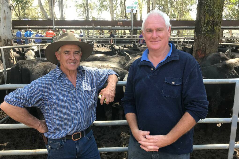 Strong prices: Major vendor Rob Muller, Buckland Valley, offered 100 Agnus steers which hit $1670, and 99 Angus heifers that topped at $1410, pictured with neighbour, Peter Eggleston. 