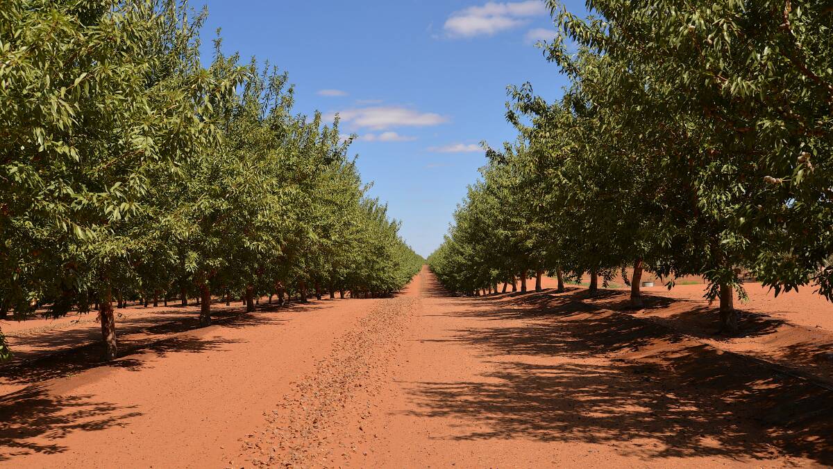 Almond growers have recently come under fire for their water use. 
