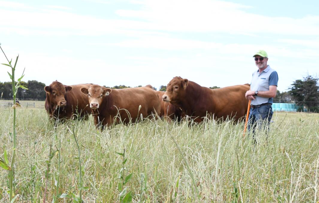 FOR SALE: Chris Meade aims to offer about 20 bulls for sale each year, usually during the stud's Stock & Land Beef Week open day.