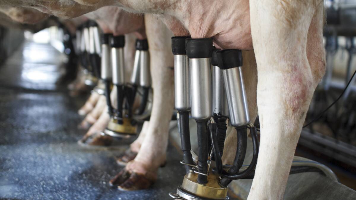 Dairy headwinds continue despite positive price signals
