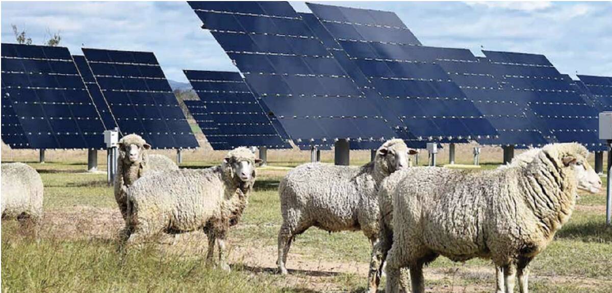 About 50 per cent of Australian livestock producers generate their own renewable energy.