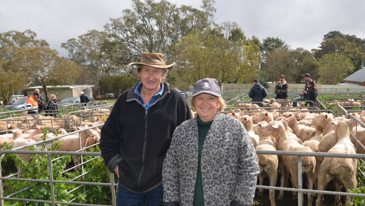 SALE: David and Janyce Hill, Harrogate, SA, were looking at breeding ewes to restock at Mount Pleasant, South Australia. The Hills lost half their flock in a fire last year. 