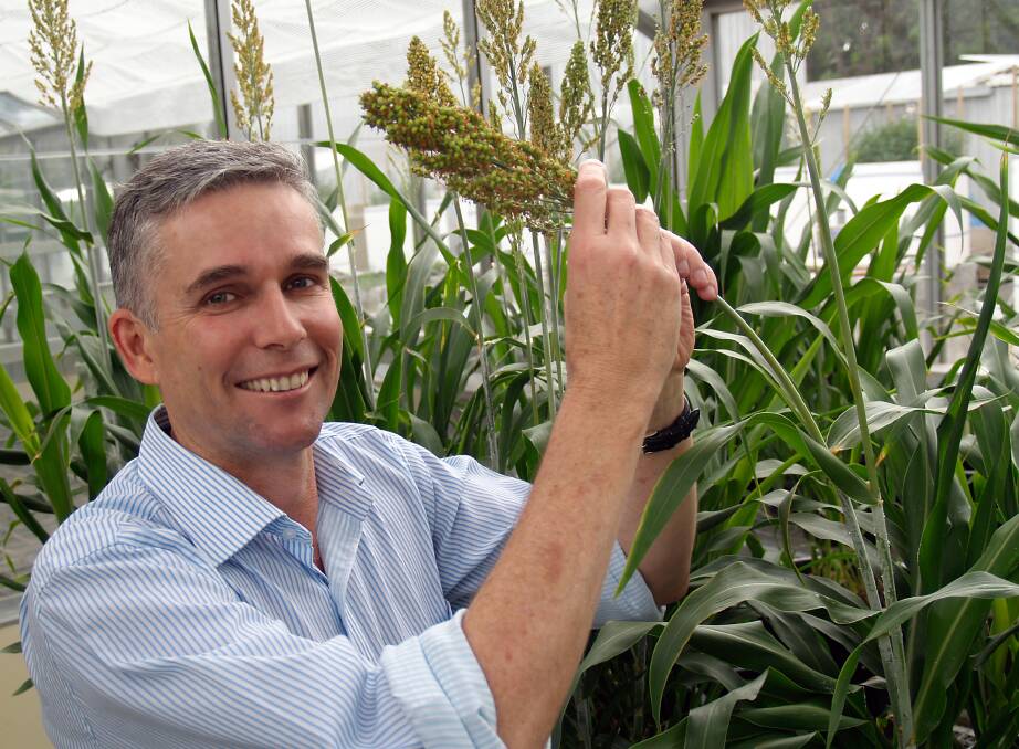 Ian Godwin, Centre for Crop Science Director 