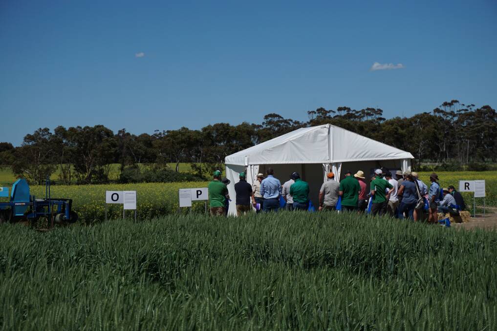 FIELD DAY: Twenty different research trials relevant to high rainfall zone mixed farming systems, will be displayed at the Southern Farming Systems field day.