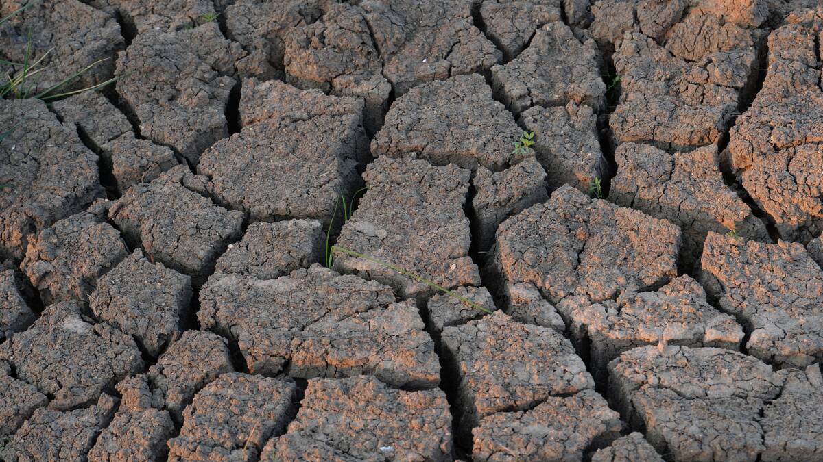 DRY TIMES: As we head into spring there is very little soil moisture, even at depth so Southern Farming Systems says now is the time to make plans for management.
