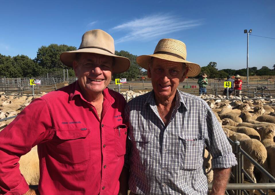 BUOYANT MARKET: Steve Paull from Paull and Scollard Albury with Allan Coyle from Barnawartha who sold 64 Shorn lambs for $150.60. Weather and strong overseas demand has helped boost markets.