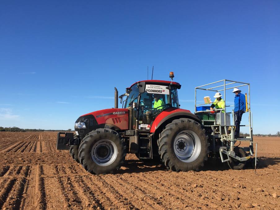 HIGH YIELD: Opportunities of precision planting and the potential gains by improving conventional seeders is under investigation in the new GRDC investment project. 