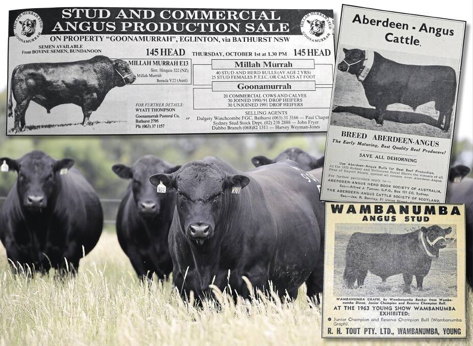 ADVERTISING ANGUS: Some of the Angus advertisements in old editions of The Land, a major marketing avenue for NSW studs.