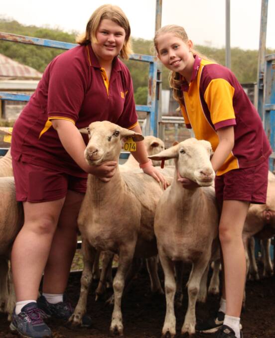 Sarah Wilson and Madi Martin taking delivery of our donated ewes from Pride of the Downs Stud in March.
