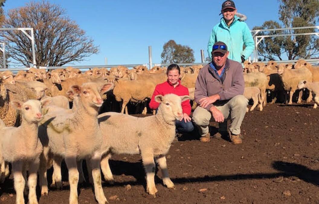 STRONG GROWTH: Evan Fealy, pictured with his daughters Liv and Jess, has been using White Suffolk genetics for the past six years, over SAMM ewes.