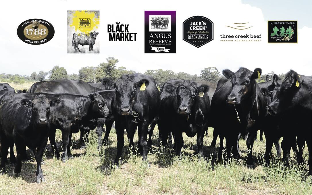 BRAND SUCCESS: Verified Angus brands have made their mark in the past 10 years.