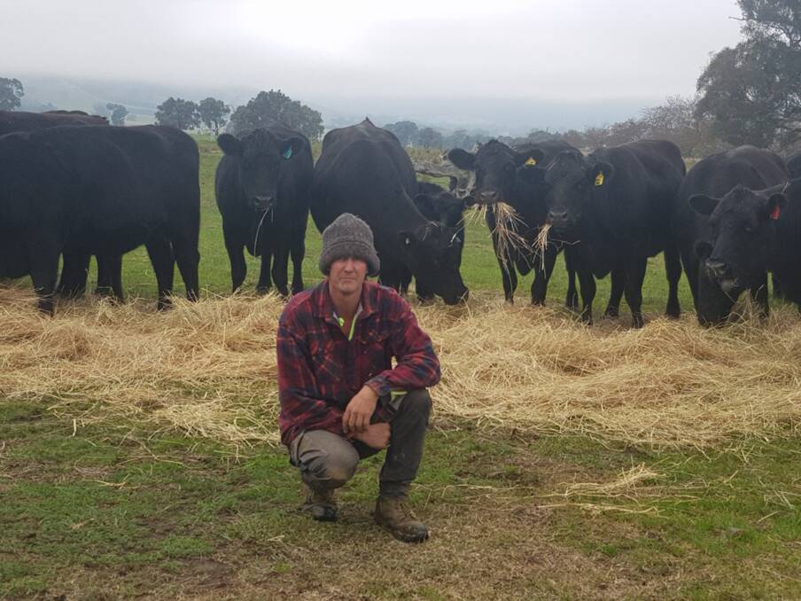 STRONG GROWTH RATES: Chris Dalbosco produces heavy Angus and black baldy weaners using Alpine genetics. 