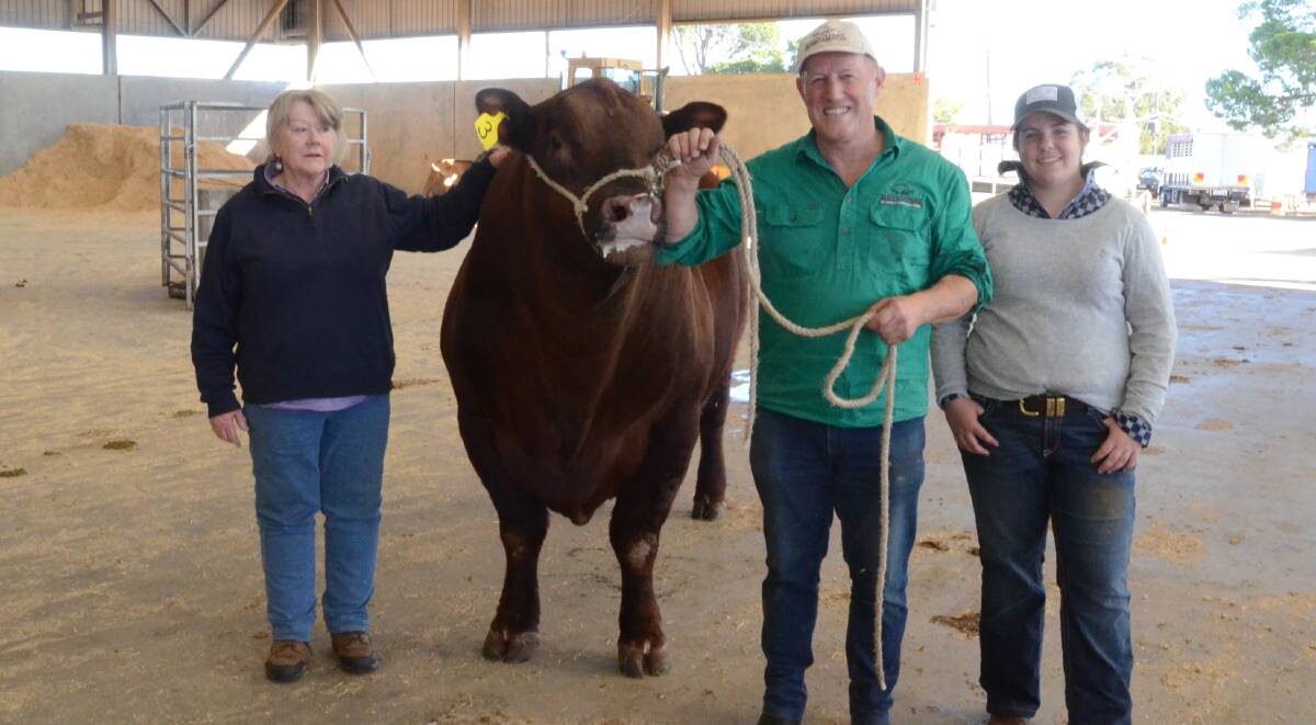 Maree and Cliff Downey, Redgums stud, Yambuna, Vic, and Maddy Telford, MGT stud, Barnham, with the Downey's $10,000 equal top-priced Red Angus bull, Redgums Willy, purchased by Mt Saul Grazing, Ticoba Station, Mundubbera, Qld