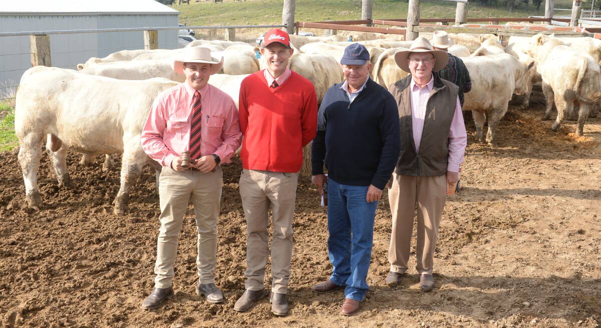 Among some of the sale bulls at the 11th Violet Hills Charolais stud sale, Rydal, are Elders auctioneer Lincoln McKinlay and Andrew Bickford, buyer of three bulls including the $15,500 sale-topper, Mike Lawlor, Kilkenny stud, Taroom, Qld, and Violet Hills co-principal Daryl Jenkins.