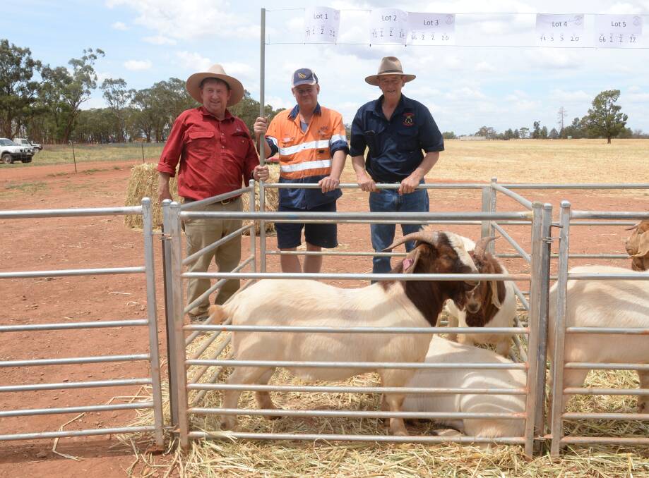Tim Mackay, Forbes Livestock with buyer of $3000 top-priced buck, Stuart Griffiths, Emmaville, and studmaster Ian Manwaring, after the Contender Meat Goat buck sale, Condobolin. Mr Griffiths bought four bucks for s $2025 average.