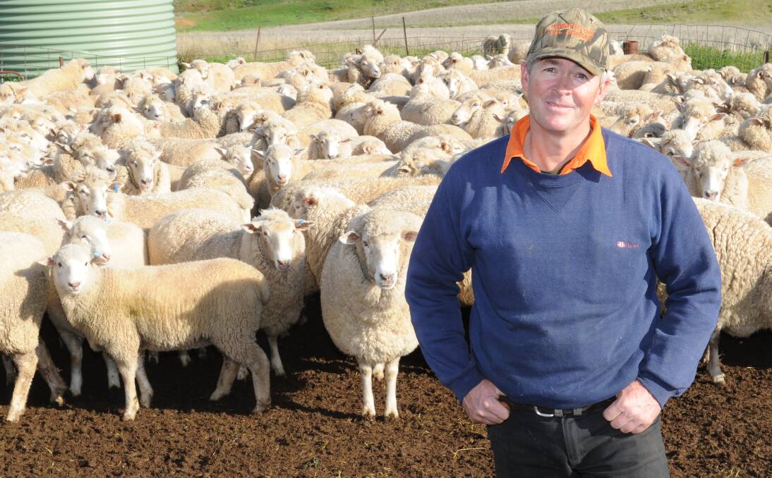 Greg Hamilton, "Charlesville", Canowindra, NSW, with his four month-old suckers by Windradyne Poll Dorset sires and their first cross mothers which lambed in March/April 2016 and again last October from double-up joining.