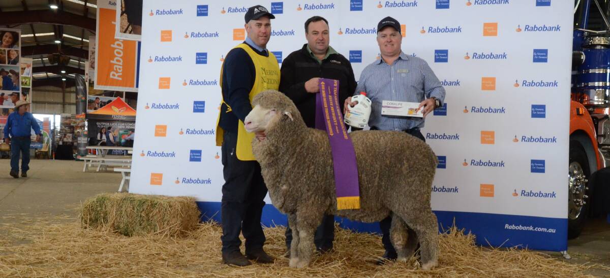 Angus Munro holds Poll Boonoke's March grand ram with Brad Wilson, Landmark and Andrew Brewer, Bayer.