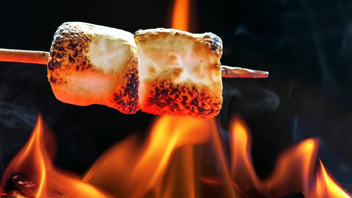 DEEP: Toasted marshmallows - the stimulus for deeper thoughts on the universe and life, according to Jess. Photo: Shutterstock.