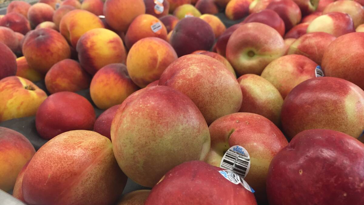 READY: Australian peaches and nectarines are set to re-enter Vietnam after technical negotiations were completed recently. 