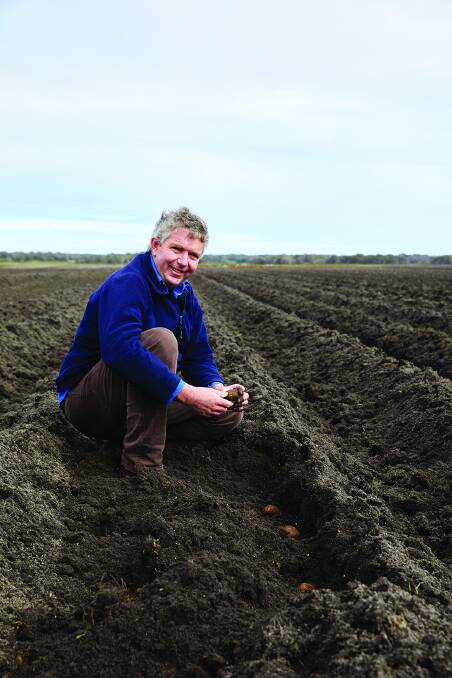 DIVERSE: Mixed farming businessman, Stephen Creese, owner, Creese North East.