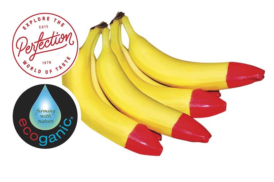 VISIBLE: The Ecoganic red tip bananas are marketed throughout Perfection Fresh. 