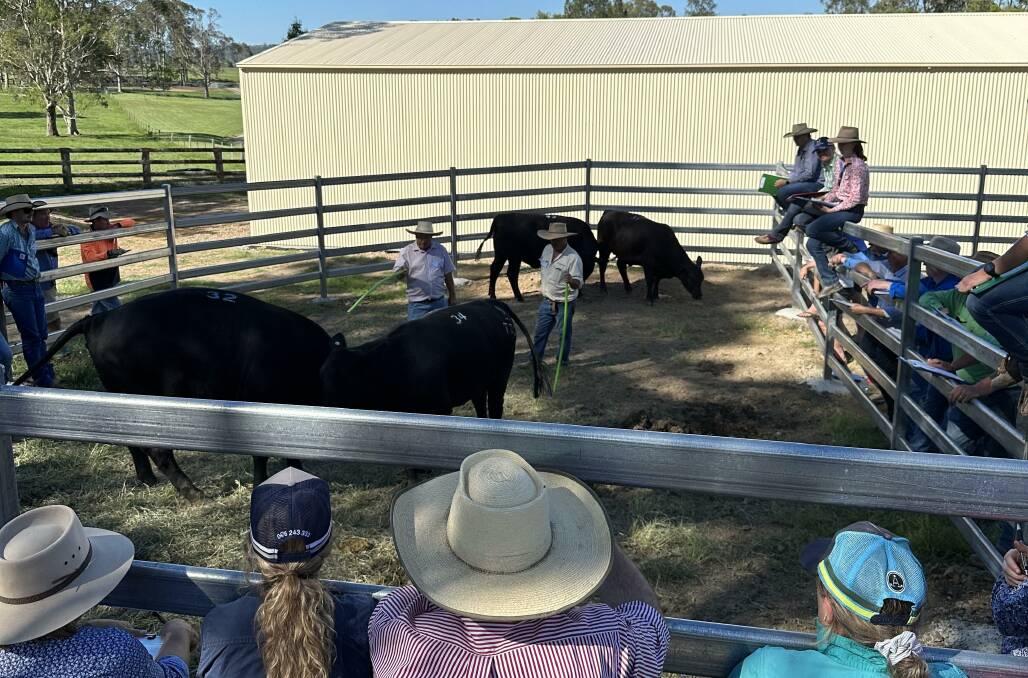 Tocal Beef Cattle Assessment Course participants tune in to a hands-on demonstration at last year's event in December. Picture by Millie Moore 