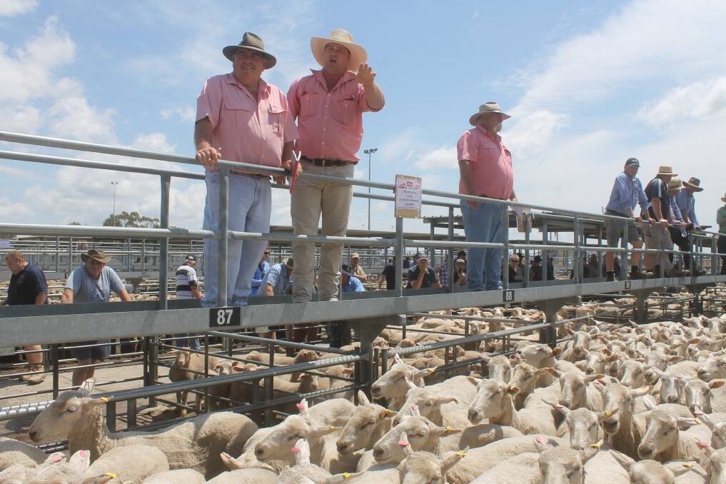The Elders selling team with auctioneer, Aaron Zwar calling for final bids on a line of 5.5 year-old crossbred ewes sold at Horsham last week.