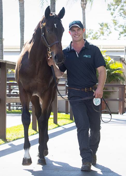 A cracking colt by champion sire Redoute's Choice topped the 2019 Magic Millions National Weanling Sale when selling to international investors for $480,000.