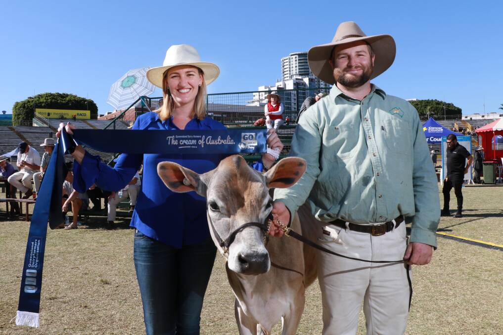 MP for Waterford Shannon Fentiman with Cream of Australia cutest cow of show winner Beauty Queen owned by the Dunne family.