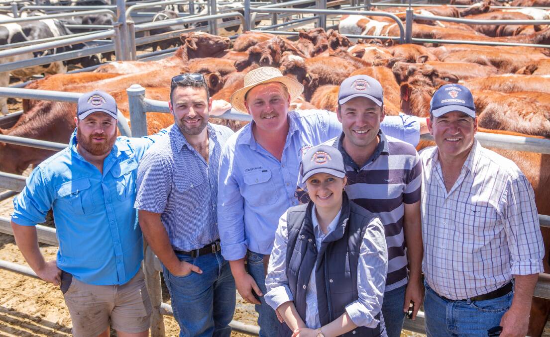 Josh Smith, James Higgins, Jordan Heinrich, Miller Whan & John, Grant and Evie Higgins and Keith Higgins, Patanga Pastoral sold 114 South Bundurra, Yamburgen and Futurity blood Shorthorn steers weighing from 311 to 381kg for an average of $1743 and 21 Shorthorn heifers av 321kg at $1710. 