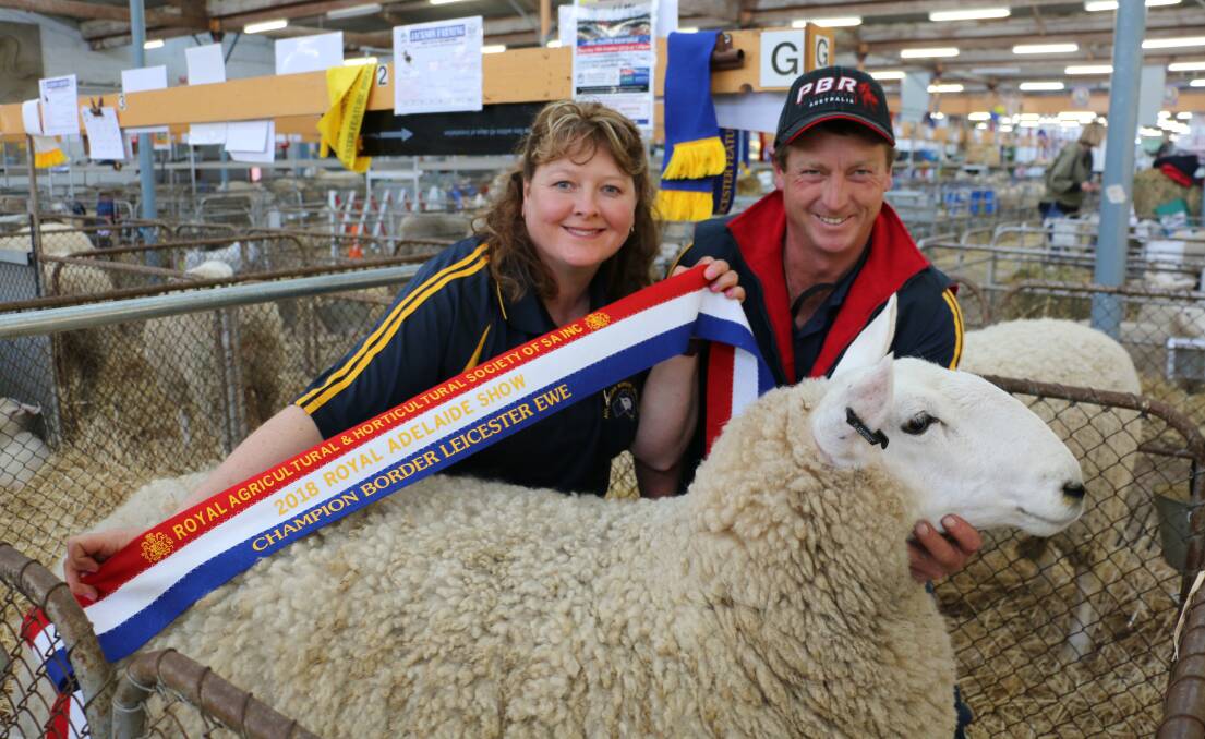 Champions: Lydia and Ross Jackson, Jackson Border Leicesters, Moyston, with their family's champion Border Leicester ewe.
