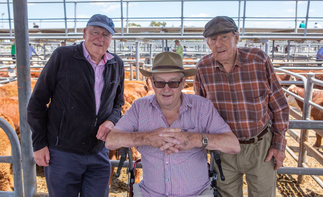 The Jenkins brothers, David (Banemore), Wally (Nayook South) and Bob (Nayook) converged on the Mount Gambier store market to see an annual draft of 142 EU accredited and PCAS eligible Nayook South Hereford steers go under the hammer for an average of $1743 and a top of $1810. 