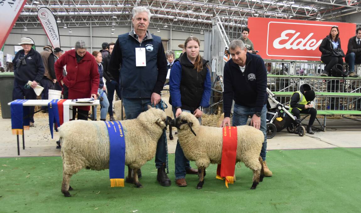 The champion and reserve champion ram from Holbeck Park, held by David Pickles and Rebecca Walsh, with judge Andrew Beard. Picture by Elizabeth Anderson