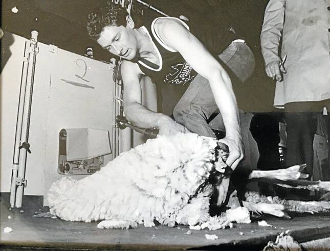 YOUNG GUN: Tom Kelly at 20 competing in the open shearing final at Badgingarra, WA, in 1990.