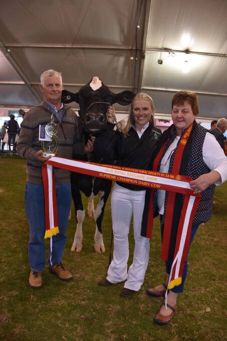 CAREER HIGH: Colin and Glenda (right) Dohnt with handler Casey Treloar, Victor Harbor, and their Royal Adelaide Show interbreed supreme cow Mooway Destry Carmel. 