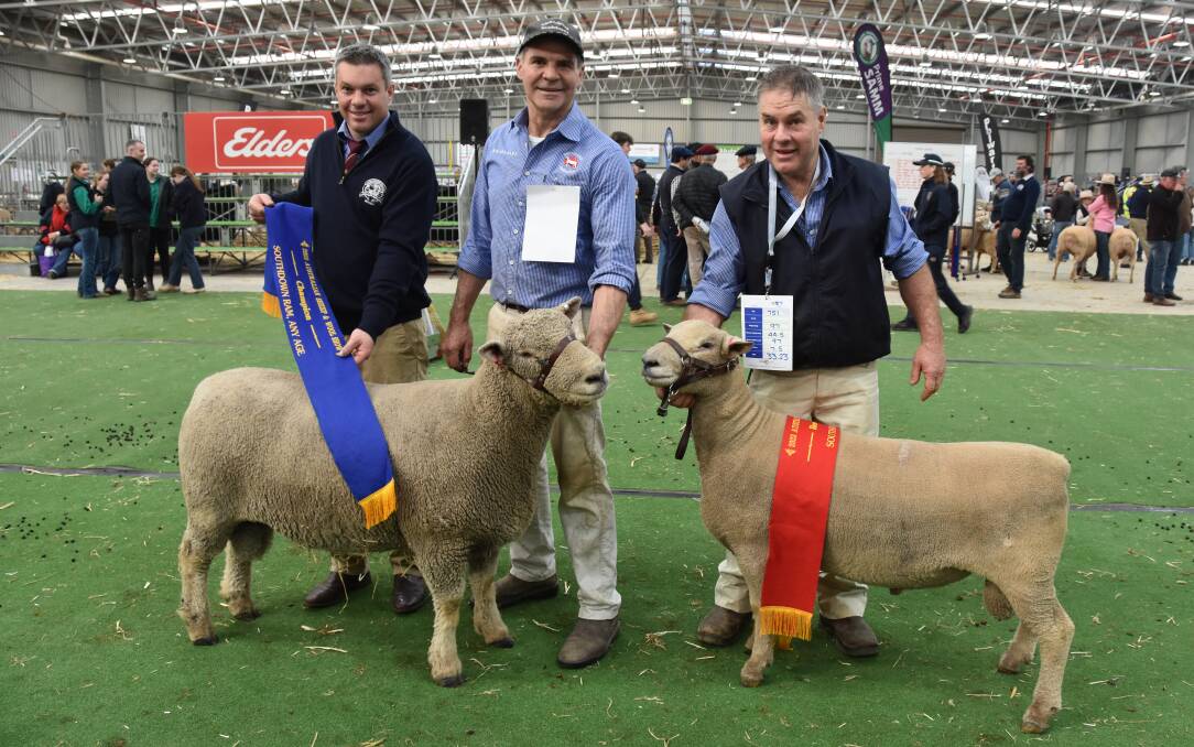 Judge Chris Badcock sashes the champion ram of Andrew Sellars-Jones, Chandpara, Tylden, and the reserve champion of rob McCartney, Yentrac, Tatura. Picture by Elizabeth Anderson