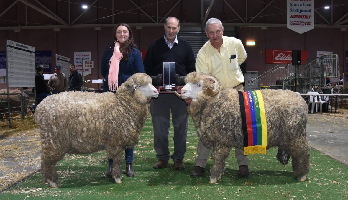 Hollow Mount Merino stud managers Avalon McGrath and David Zouch with owner Ken Wolf (middle), Bigga, NSW, and their August-shorn pair. Picture by Elizabeth Anderson