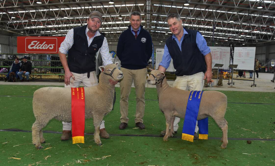 James Knight, Lansdale Pure Southdowns, Bamganie, with the reserve champion Southdown ewe, judge Chris Badcock, and Robert McCartney, Yentrac, Tatura, with the champion Southdown ewe. Picture by Elizabeth Anderson