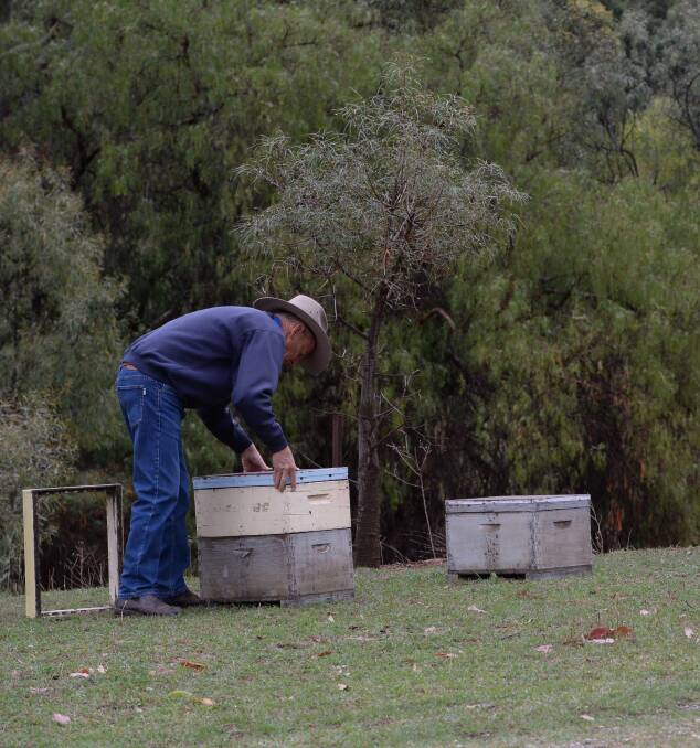 GROWTH: The Amateur Beekeeping Association has grown a long way from its small beginnings back in 1954. Photo: Rachael Webb.