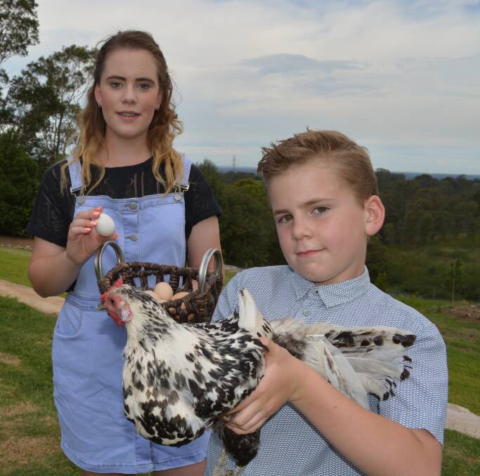 CLUCKIN' ALONG: Young Hawkesbury Valley egg producers, Marissa and Angus Denne, with a chook on the family's Grose Vale property. 