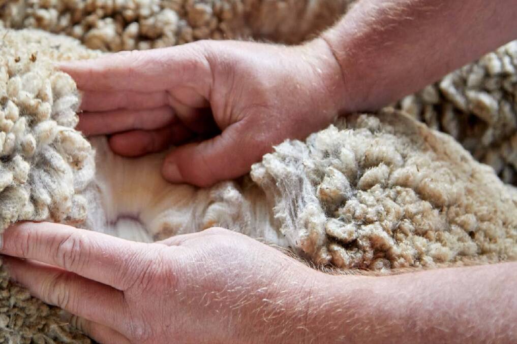 CONTROL: Fennec helps to ensure wool quality is maintained.