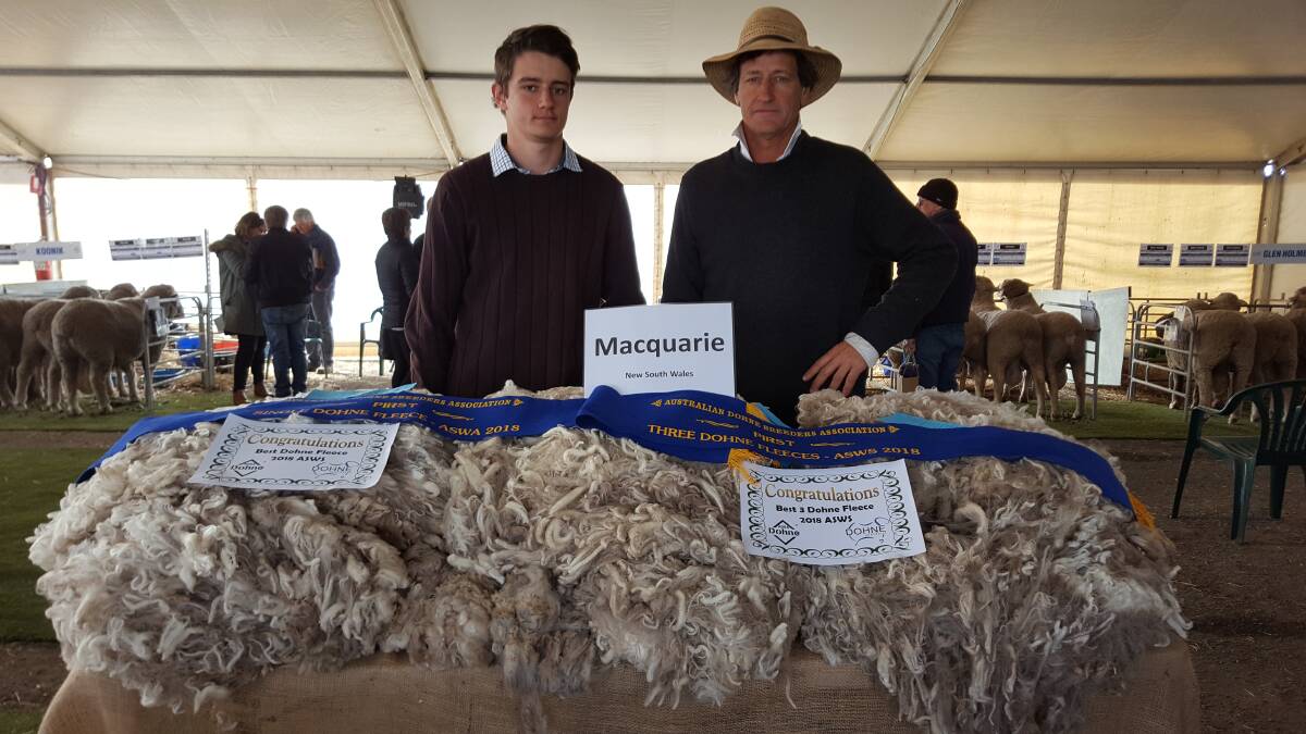 WINNERS: Peter and John Nadin with Macquarie Dohne Studs awards from the 2018 Australian Sheep and Wool Show.