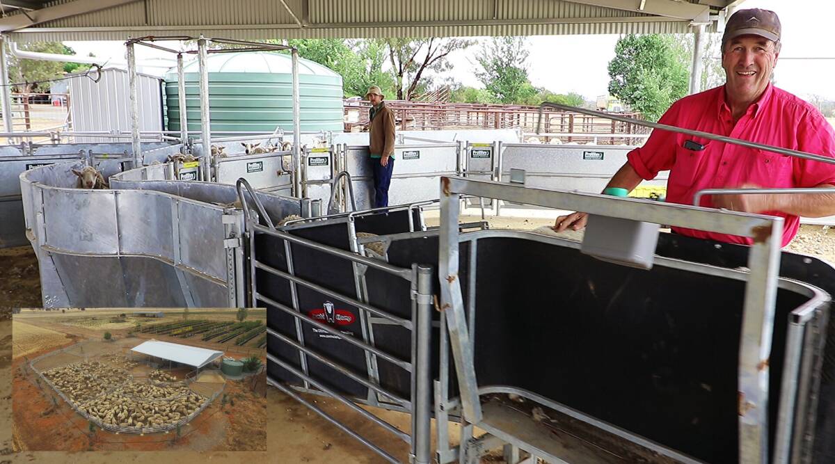 YARD UPGRADE: Stuart Hulme took the opportunity to use ProWay to modernise his sheep handling equipment on his property at Holbrook, NSW.