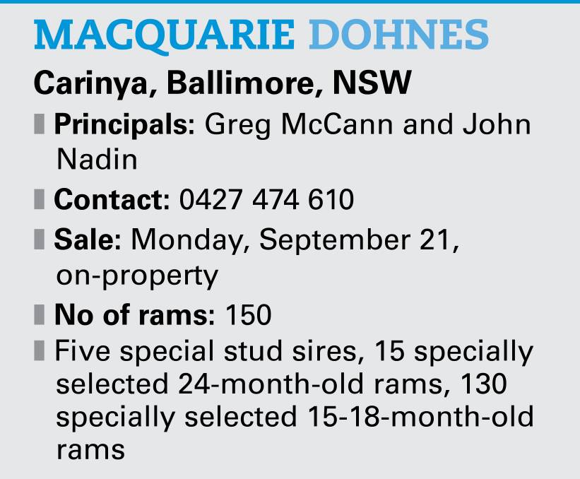 Success on many fronts for Dohne stud